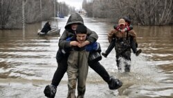 Цитаты Свободы. С войной, но без дамбы