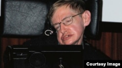 İngilis fiziki Stephen Hawking