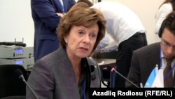 Neelie Kroes