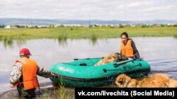 Жители Читы во время наводнения