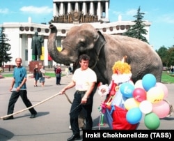 Слониха Чанни, Москва, 1999 год