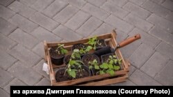 Первомайский перформанс томских художников