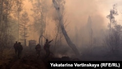 Лесные пожары в Иркутской области